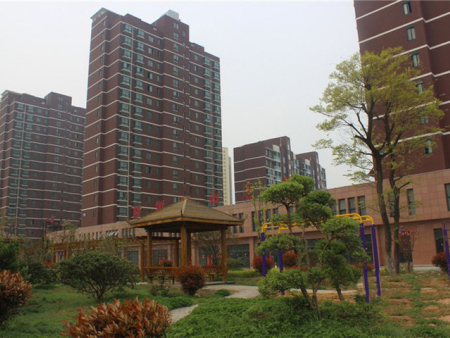 隆源城市之星
