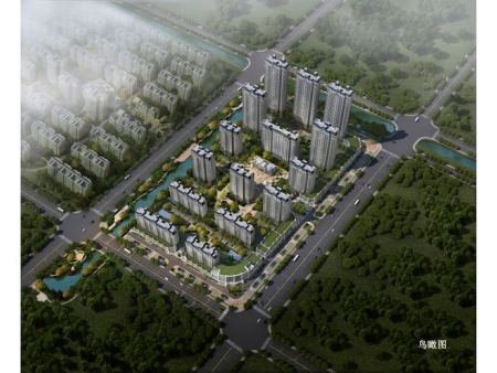 丽城春天